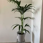 Lejlighed Vitamine Zee